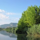 La Réserve Naturelle du Haut-Rhône Français
